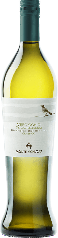 Monte Schiavo Verdicchio Classico Amphora