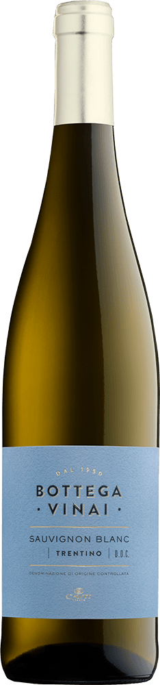 Bottega Vinai Trentino Sauvignon Blanc