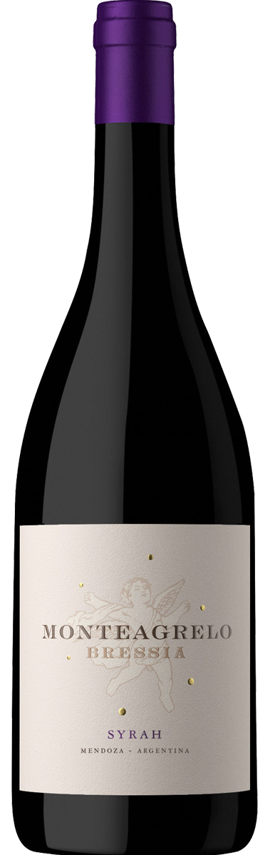 Bodega Bressia Monteagrelo Syrah