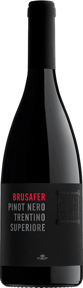 Brusafer Pinot Nero Trentino Superiore