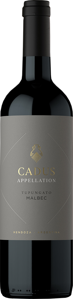 Cadus Tupungato Appellation Malbec