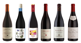 Cotes du Rhone French Reds Mixed Case 