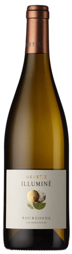 GENETIE Bourgogne Blanc Illumine