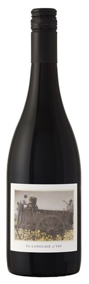 Language of Yes Santa Maria Valley Syrah