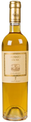 Muffato della Sala Antinori 