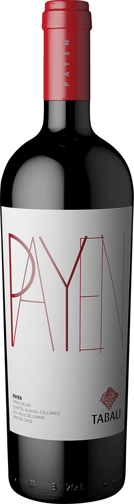 Tabalí Payen Syrah