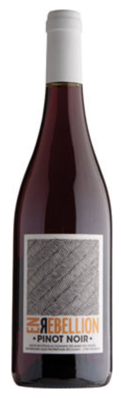 Sainte Marie des Crozes En Rebellion Pinot Noir Pays d'Oc