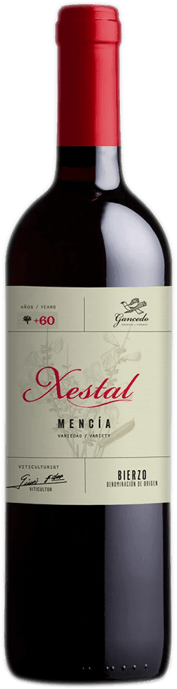 Xestal Mencia