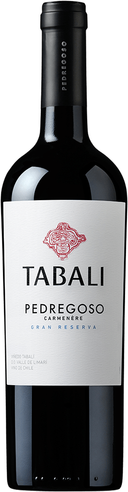 Tabali Pedregoso Gran Reserva Carmenere