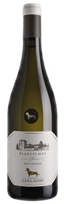 Blanc Fumat Sauvignon Bianco Collavini