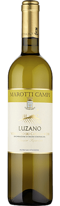 Luzano Verdicchio dei Castelli di Jesi Marotti Campi